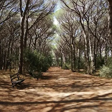 Bilocale Primo Piano Marina Di 公寓