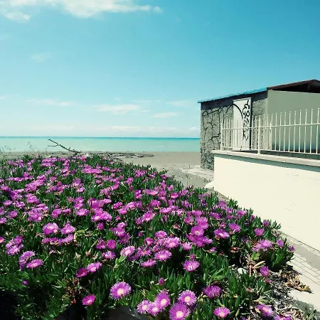 Bilocale Primo Piano Marina Di 公寓 切奇纳
